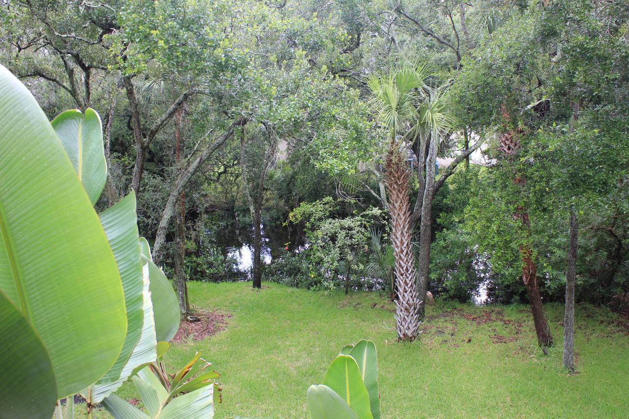 Treehouse Villa Tampa Eksteriør billede