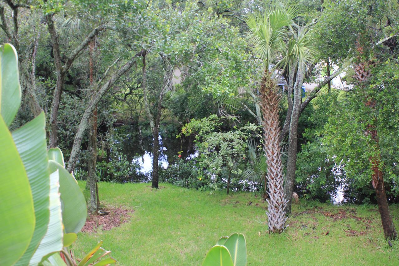 Treehouse Villa Tampa Eksteriør billede